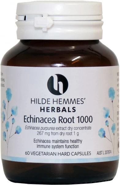 Hilde Hemmes Echinacea 60